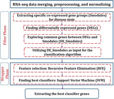 Exploration of blood−derived coding and non-coding RNA diagnostic immunological panels for COVID-19 through a co-expressed-based machine learning procedure